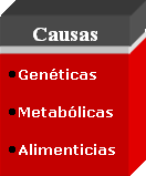 CAUSAS DE LA OBESIDAD